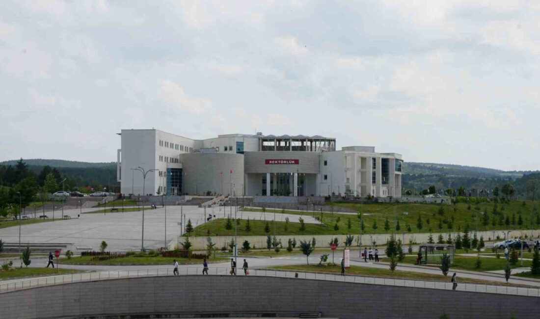 Kastamonu Üniversitesi, “AI-Powered Social Entrepreneurship Decision Support Platform” başlıklı projesiyle