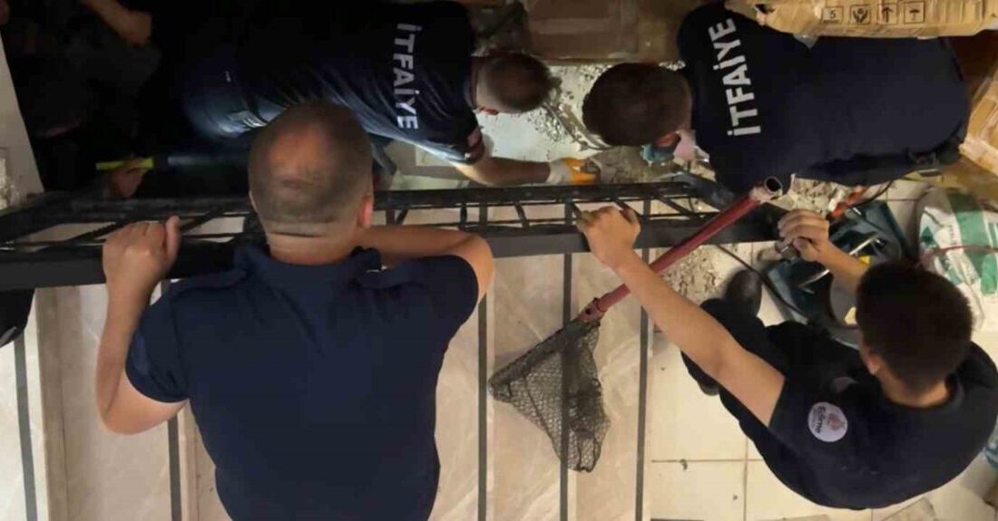 Edirne’de merdiven boşluğuna sıkışan kediyi kurtarmak için itfaiye ekipleri uzun