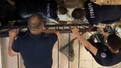 Edirne’de merdiven boşluğuna sıkışan kediyi kurtarmak için itfaiye ekipleri uzun