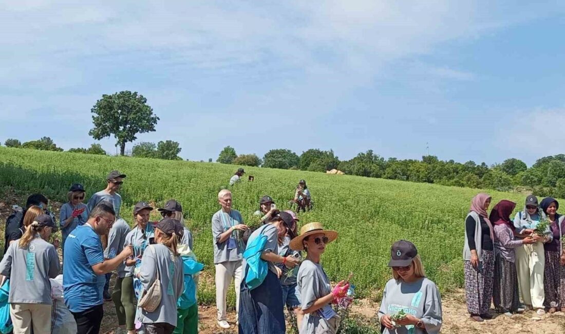 Denizli’de dünyaca ünlü kekiğiyle tanınan Gözler Mahallesi’nde bu yıl üçüncüsü