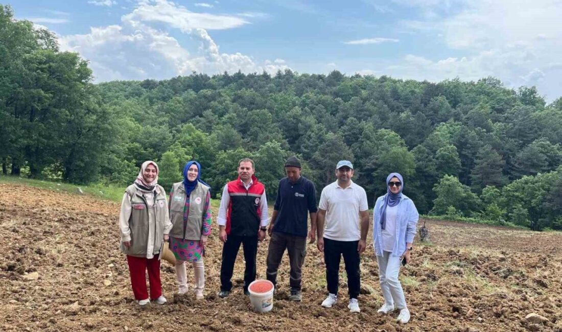 “Tarım Arazilerinin Kullanımının Etkinleştirilmesi, Desteklenmesi Projesi” kapsamında Orhaneli ilçesinde sorgun
