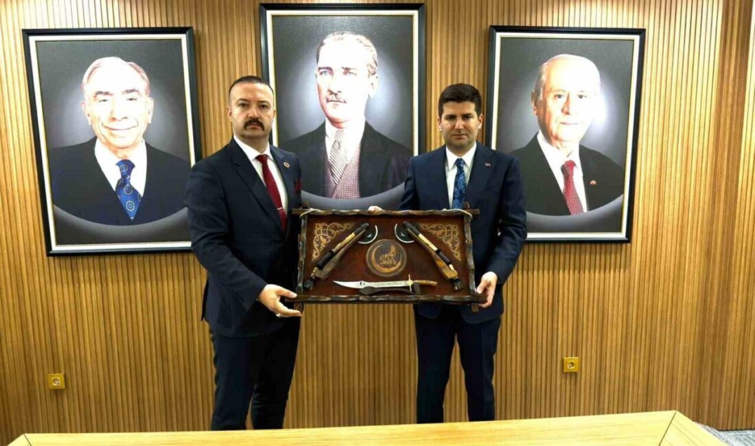 Bilecik Ülkü Ocakları İl Başkanı Bahadır Emirler, Milliyetçi Hareket Partisi