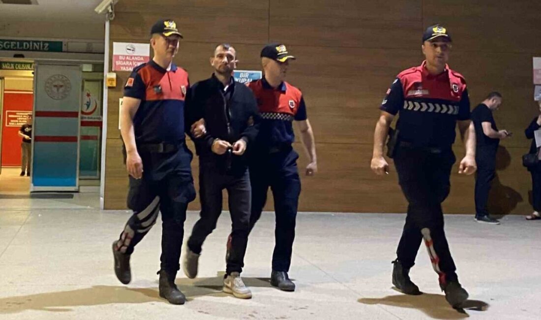 Bursa’nın İnegöl ilçesinde jandarma ekiplerince uyuşturucu ticaretine yönelik düzenlenen geniş