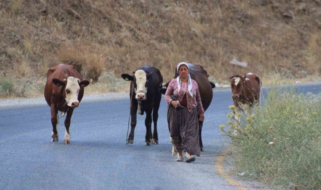 Aydın’ın Çine ilçesinde çıkan orman yangını bir anda büyürken, hayvanlarını