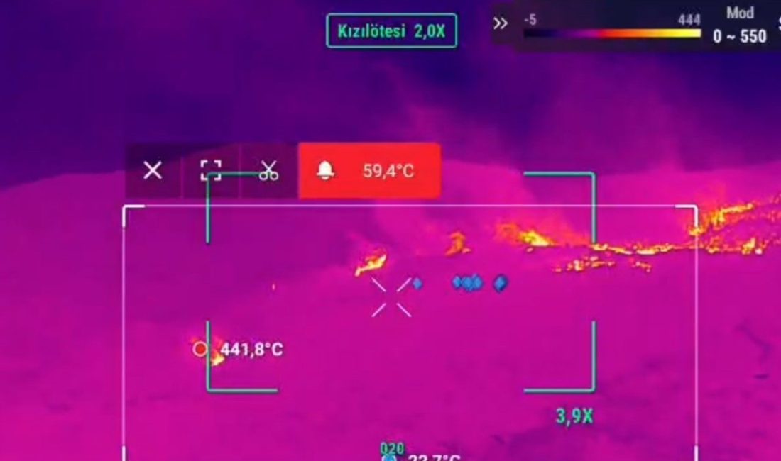 Aydın’ın Çine ilçesinde çıkan orman yangının kontrol altına alınması için
