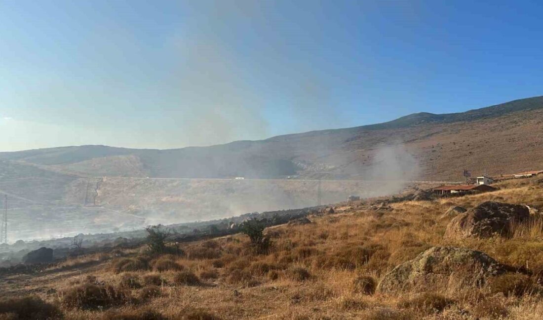 İzmir’in Aliağa ilçesinde otluk alanda çıkan yangın, ekiplerin havadan ve