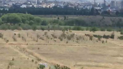 Ankara’nın Yenimahalle ilçesinde geniş arazide başlayan ot yangını, ekiplerin yoğun