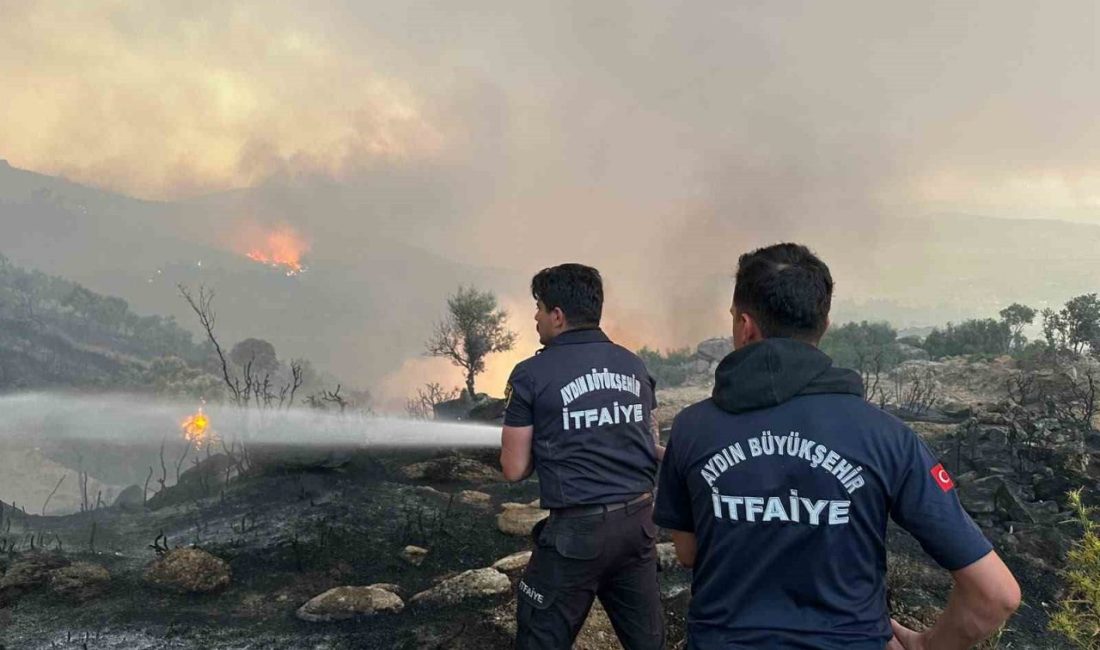 Aydın Büyükşehir Belediyesi İtfaiye Daire Başkanlığı ekipleri, Aydın’ın dört bir