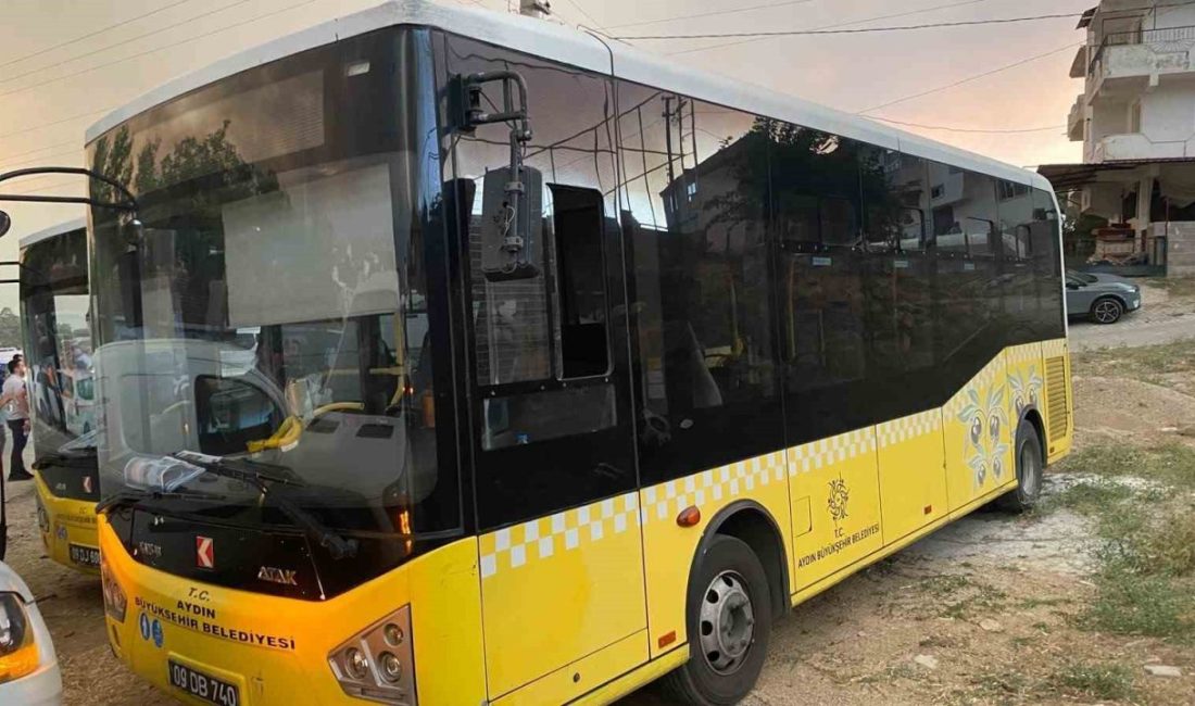 Aydın’ın Çine ilçesi Kavşit Mahallesi’nde çıkan orman yangınına havadan ve