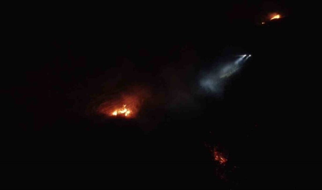 Balıkesir’de gece yol kenarında başlayan arazi yangını ormanlık alana sirayet