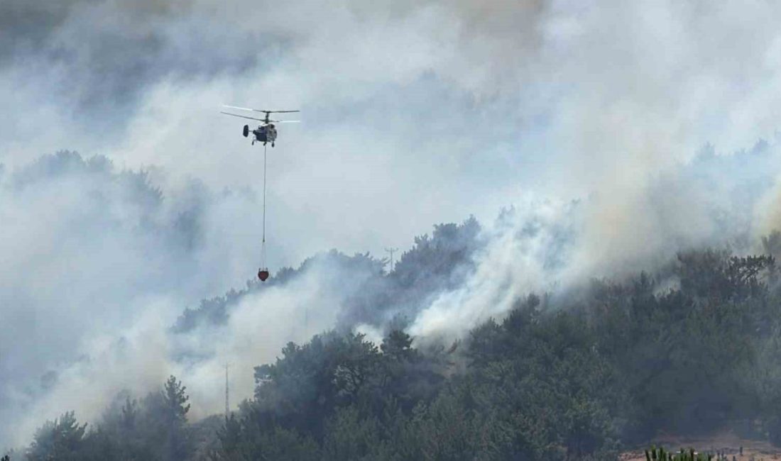Balıkesir’de son 3 günde kırsal bölgede çıkan arazi ve orman