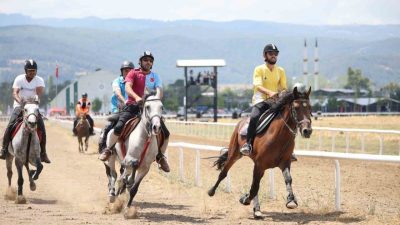 Bursa Büyükşehir Belediyesi Başkan Vekili Şahin Biba, Geleneksel Rahvan At