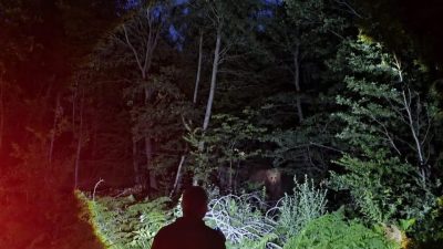 Bursa’da ormanlık alanda koruma kontrol faaliyetlerini sürdüren Bursa Orman Bölge