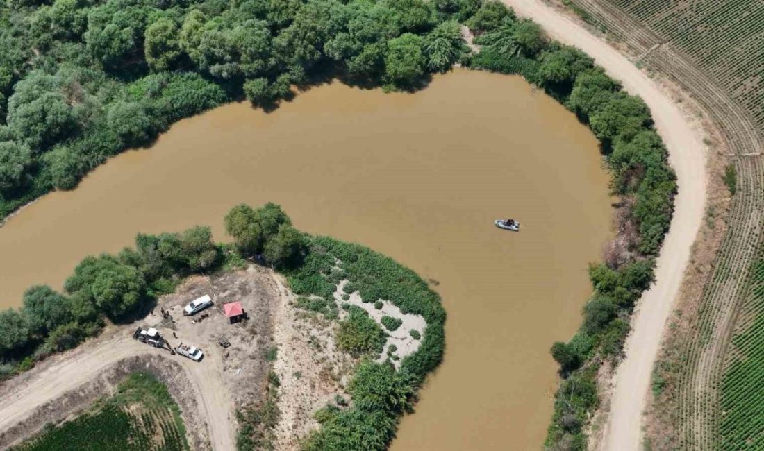 Aydın’ın İncirliova ilçesinde serinlemek amacıyla Büyük Menderes Nehri’ne girdikten sonra
