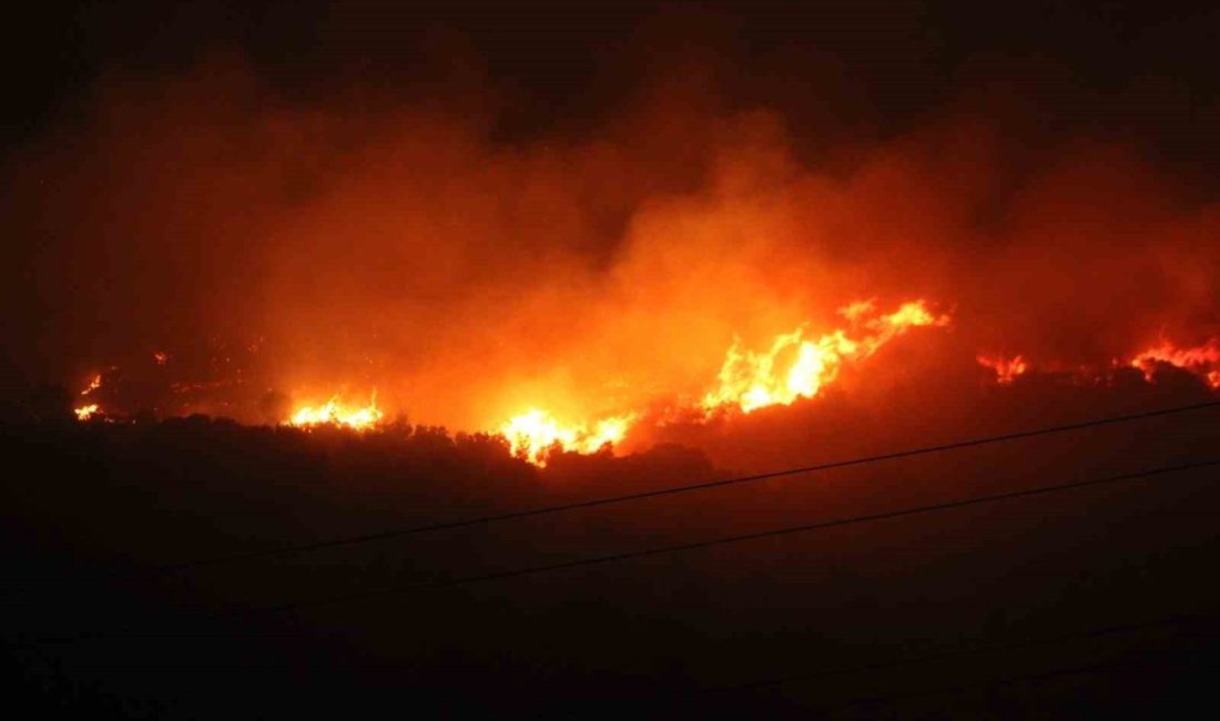 Aydın’ın Çine ilçesinde çıkan orman yangınına ekiplerin müdahalesi gece boyunca