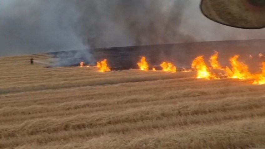 Diyarbakır’ın Silvan ilçesinde yaklaşık 5 bin dönümlük alanda yangın çıktı.