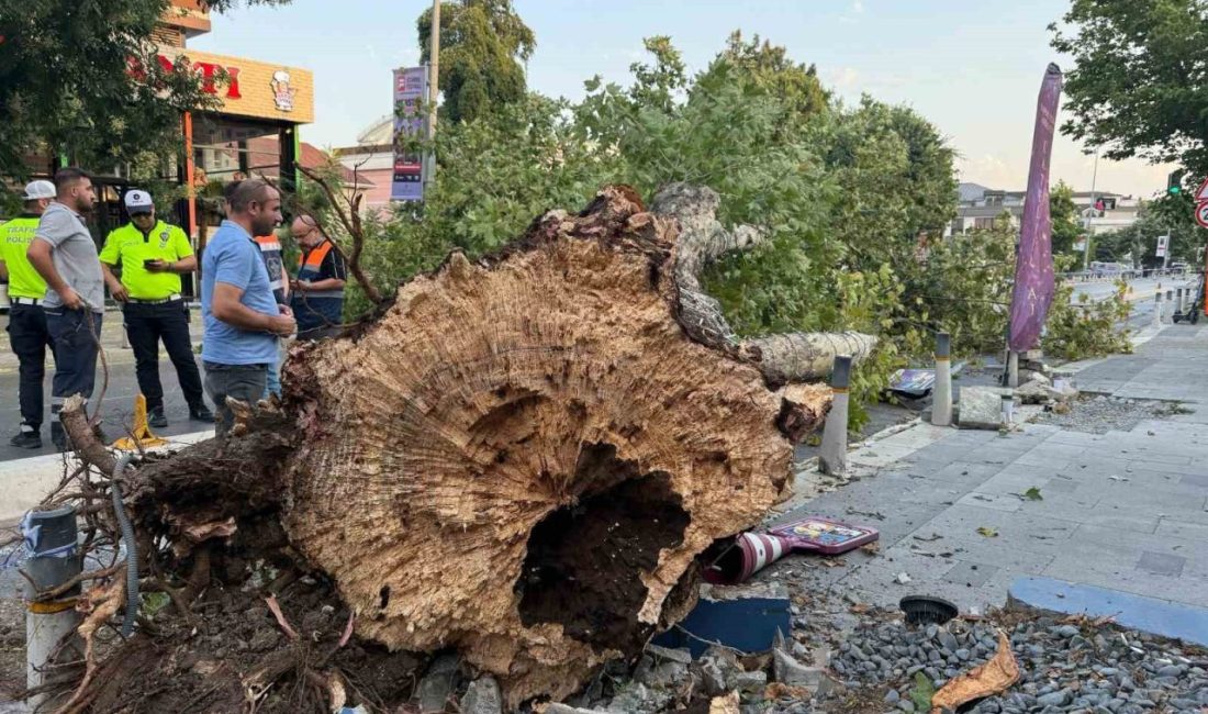 İstanbul’da kısa süreli etkili olan fırtına, kentin farklı noktalarında hasara