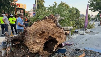 İstanbul’da kısa süreli etkili olan fırtına, kentin farklı noktalarında hasara