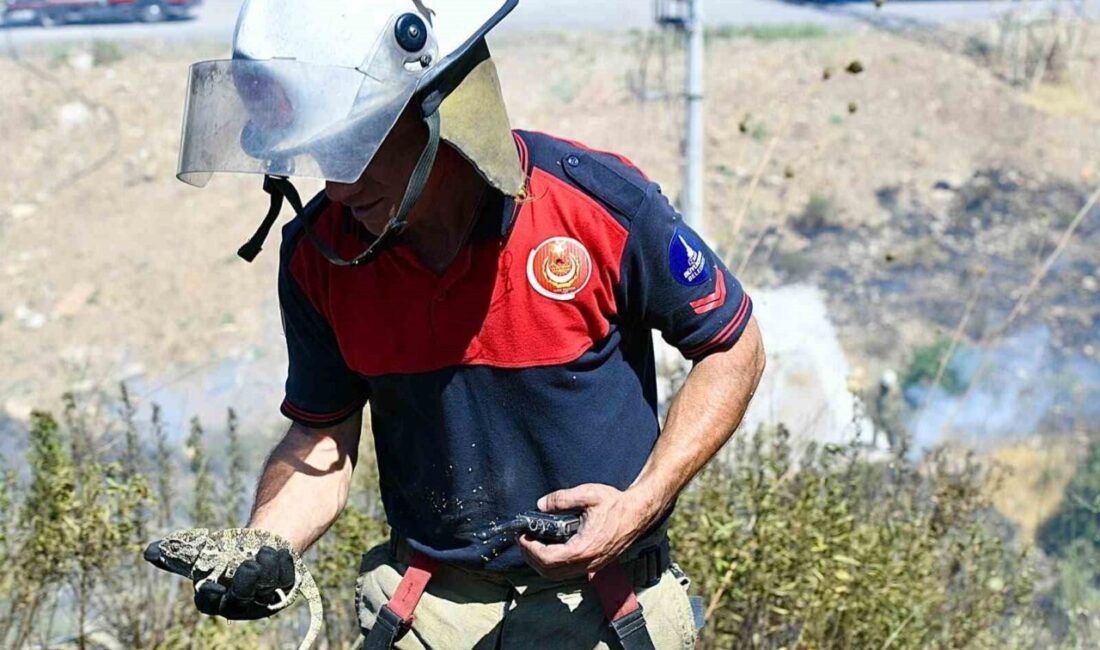 Bornova ilçesi Gökdere Mahallesi’nde çıkan orman yangınına İzmir İtfaiyesi ile