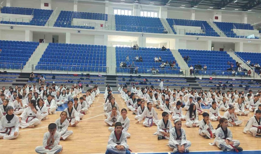 Malatya’da düzenlenen Taekwondo Pum 1-2-3-4-5. Dan Sınavı’na, 18 farklı ilden