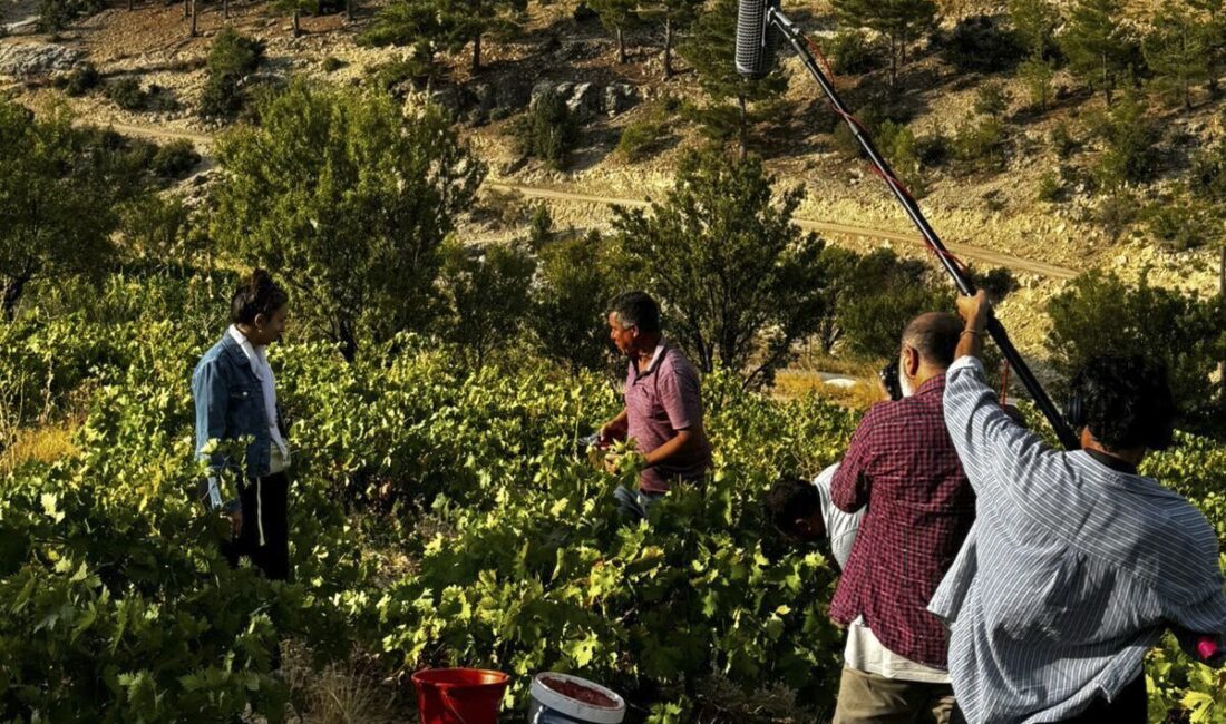 Mersin Büyükşehir Belediyesi bünyesinde faaliyet gösteren Mersin Sinema Ofisi, yerli