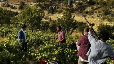 Mersin Büyükşehir Belediyesi bünyesinde faaliyet gösteren Mersin Sinema Ofisi, yerli
