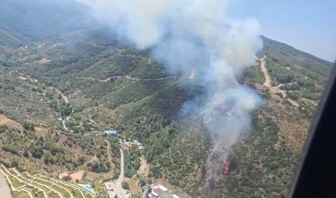 İzmir’in Narlıdere ilçesinde çıkan orman yangınına havadan ve karadan müdahale