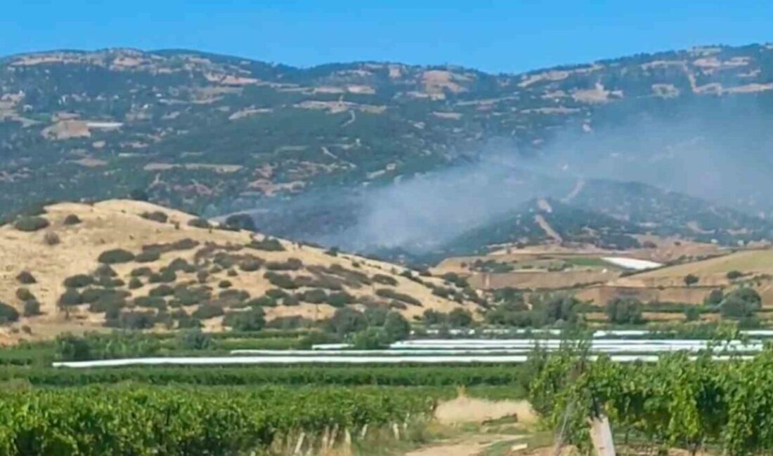 Manisa’nın Sarıgöl ilçesinde ormanlık alanda yangın çıktı. Ekiplerin havadan ve