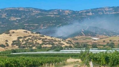Manisa’nın Sarıgöl ilçesinde ormanlık alanda yangın çıktı. Ekiplerin havadan ve