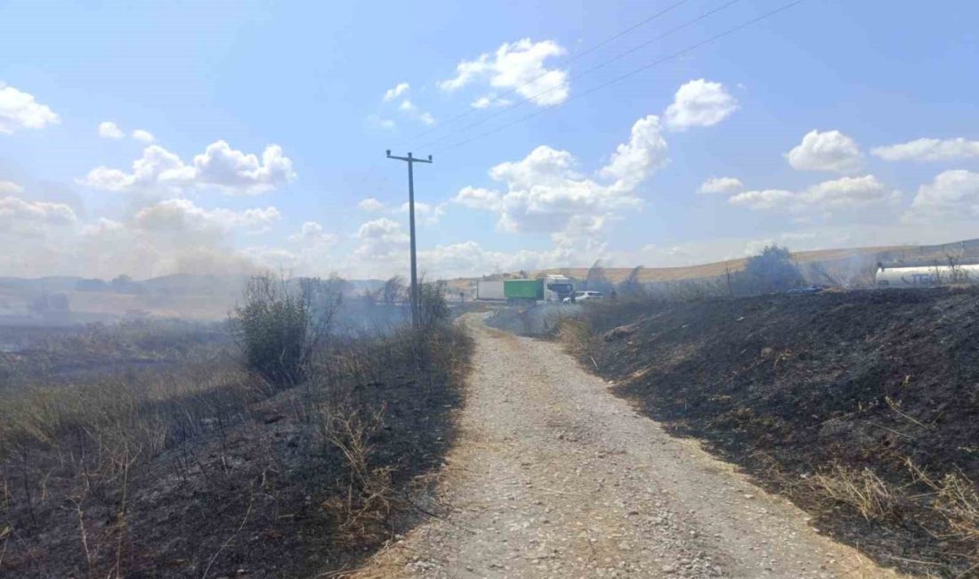 Balıkesir’in Susurluk ilçesinde, Balıkesir-Bursa karayolunun her iki tarafında etkili olan