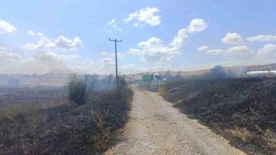 Balıkesir’in Susurluk ilçesinde, Balıkesir-Bursa karayolunun her iki tarafında etkili olan