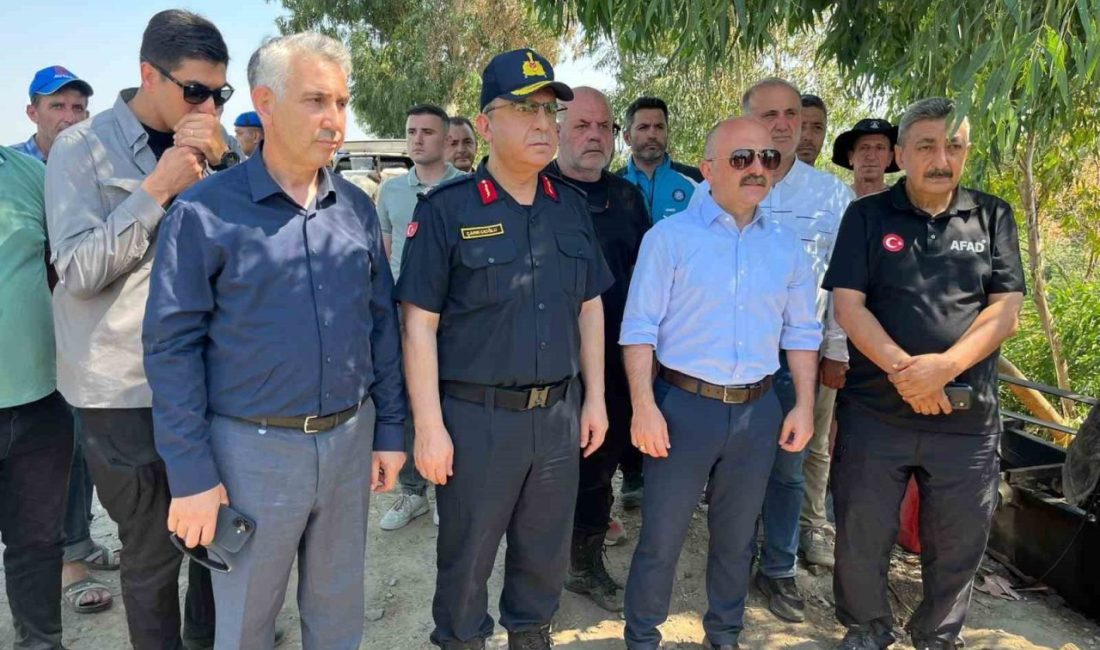 Aydın’ın İncirliova ilçesinde serinlemek amacıyla Büyük Menderes Nehri’ne girdikten sonra