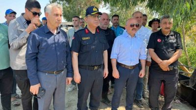 Aydın’ın İncirliova ilçesinde serinlemek amacıyla Büyük Menderes Nehri’ne girdikten sonra
