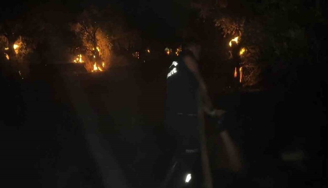 Aydın’ın Efeler ilçesinde zeytinlik alanda çıkan yangın ekiplerin hızlı müdahalesiyle