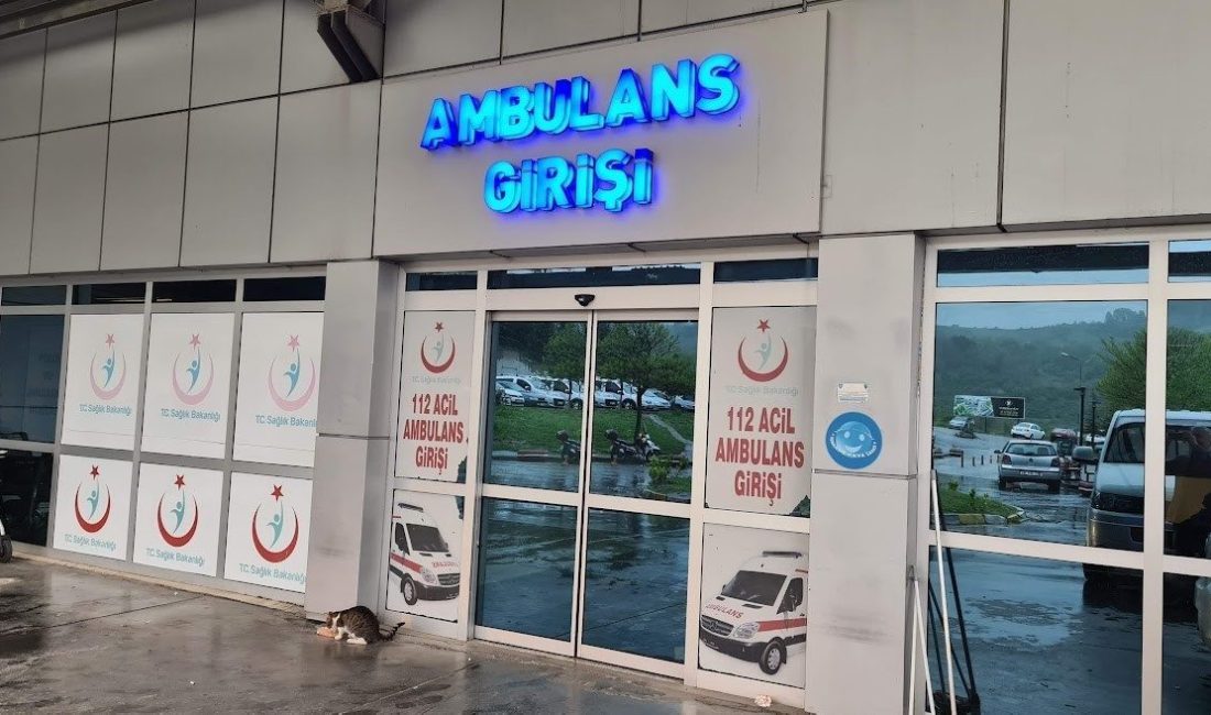 Zonguldak’ın Alaplı ilçesinde minibüs ile motosikletin çarpışması sonucu meydana gelen