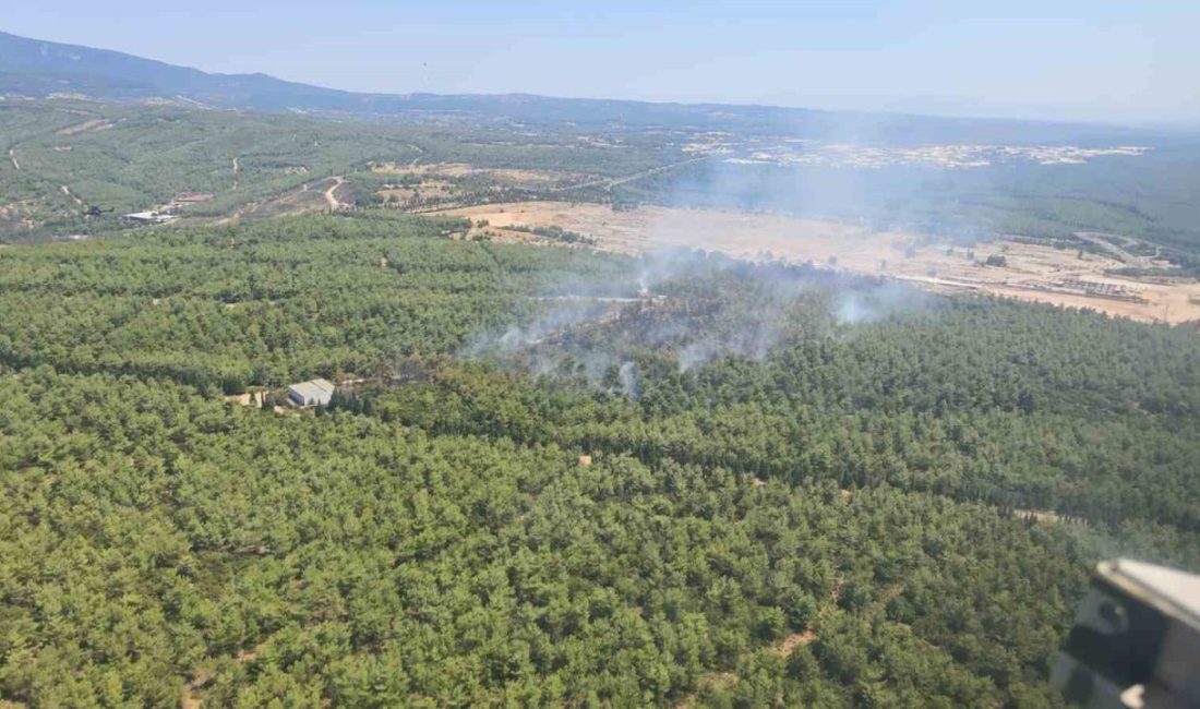 İzmir’in Buca ilçesinde çıkan orman yangını, ekiplerin havadan ve karadan