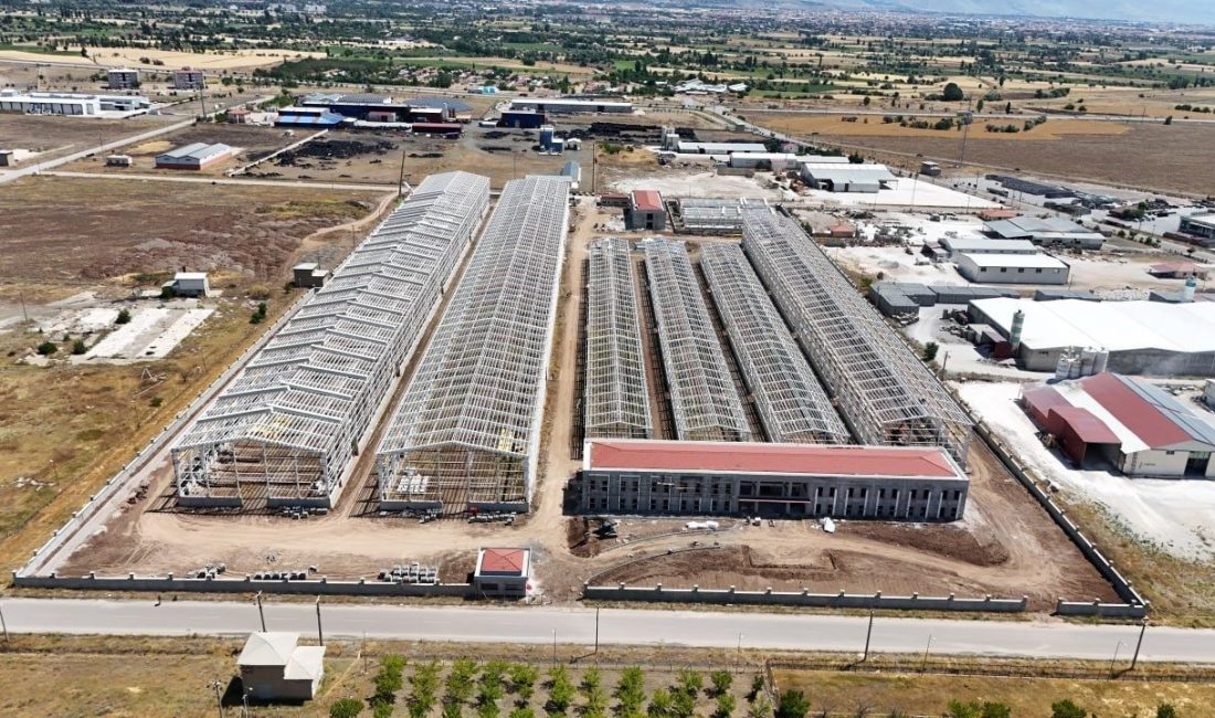 İranlı işadamı ve bir şirketin CEO’su Umut Kaya, Erzincan Organize