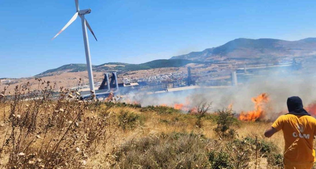 İzmir’in Aliağa ilçesinde fabrikalar bölgesindeki otluk ve makilik alanda çıkan