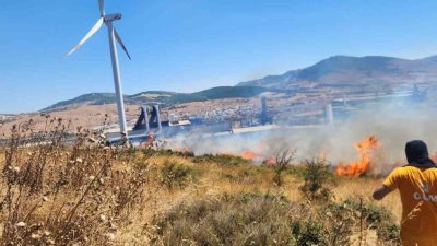 İzmir’in Aliağa ilçesinde fabrikalar bölgesindeki otluk ve makilik alanda çıkan
