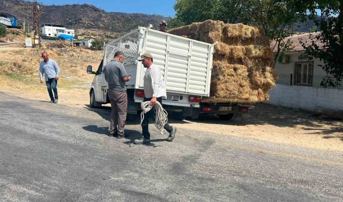 Aydın’ın Yenipazar ilçesinde Karacaören Mahallesi sakinleri, Çine’deki orman yangınından etkilenen