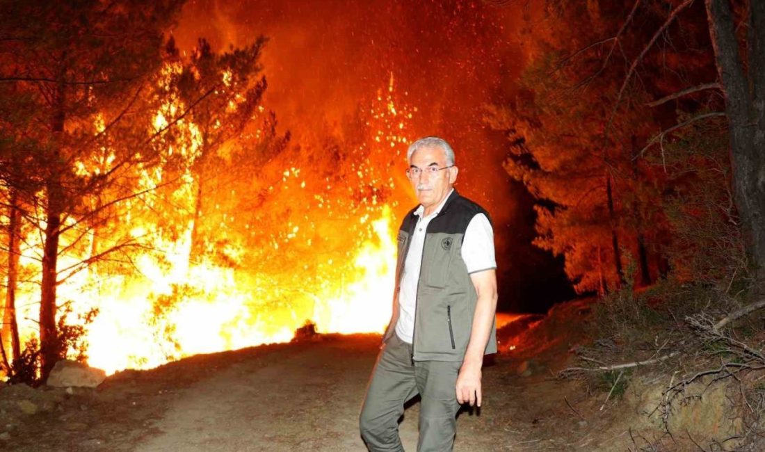 Orman Genel Müdürü Bekir Karacabey, Muğla’da devam eden orman yangınlarında