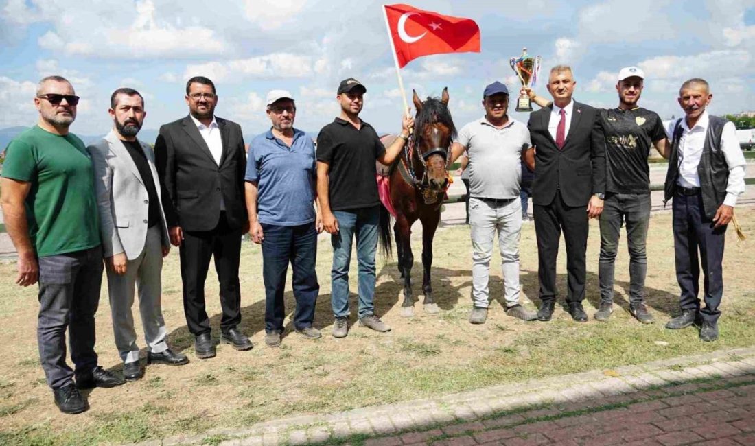Türkiye’nin dört bir yanından at sahiplerinin katılımıyla Gölcük’te gerçekleştirilen Geleneksel