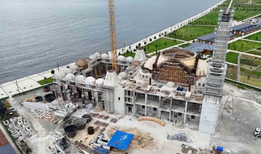 Cumhurbaşkanlığı Yüsek İstişare Kurulu (YİK) üyesi ve 27. Dönem TBMM