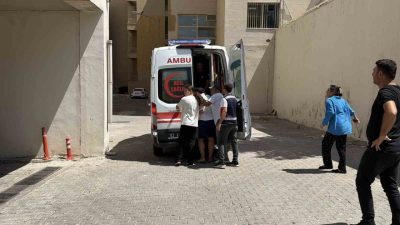 Şanlıurfa’nın Siverek ilçesinde serinlemek amacıyla Fırat Nehri’ne giren 2 kişi