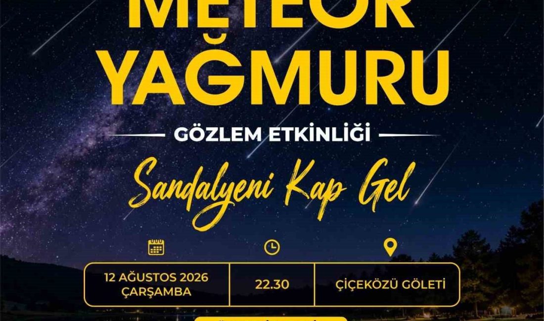 Yenişehir Belediyesi, yılın en dikkat çekici gökyüzü olaylarından Perseid Meteor
