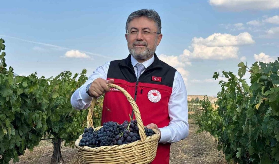 Tarım ve Orman Bakanı İbrahim Yumaklı, “Bu sene çok iyi