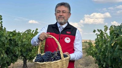 Tarım ve Orman Bakanı İbrahim Yumaklı, “Bu sene çok iyi