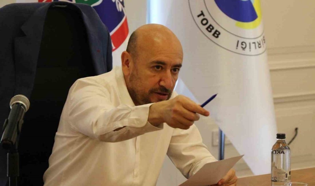 TOBB Yönetim Kurulu Üyesi ve Aydın Ticaret Odası (AYTO) Başkanı
