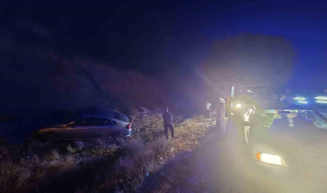 Bingöl’de sürücüsünün direksiyon hakimiyetini kaybettiği otomobilin yoldan çıkması sonucu meydana