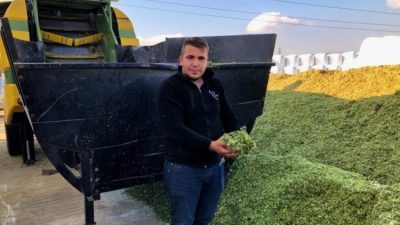 Süt ve et hayvancılığında yem fiyatları artarken, besiciler maliyetleri azaltmak